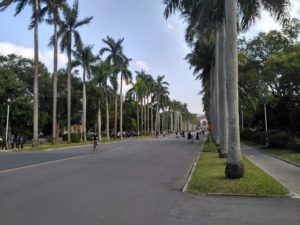 台湾大学は観光・散歩に最適のおすすめスポット【台北】